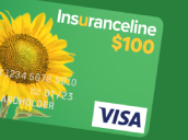 $100 VISA gift card sunflower