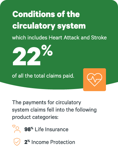 Circulatory stats 2024